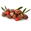 Olive super bariole